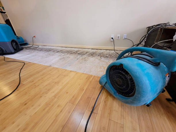 Professional Flood Damage Cleanup technician working in Norridgewock, ME